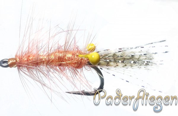 Shrimp