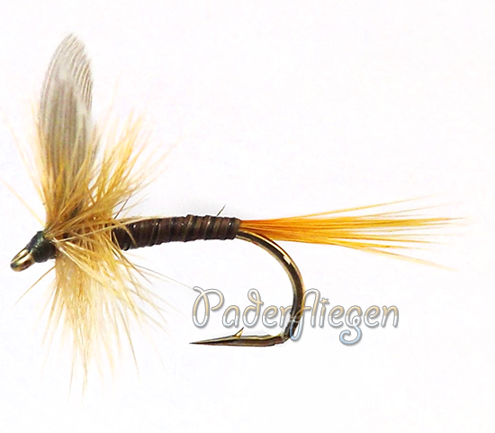 Lot De 3 Mouches Sèches Ginger Quill Taille 10 | Pour Pêche à La Mouche Truite/ombre