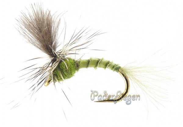 Quill Olive Parachute CDC