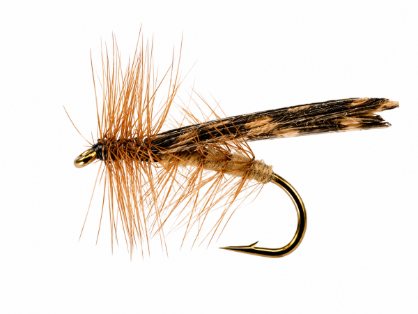 Sedge Tan
