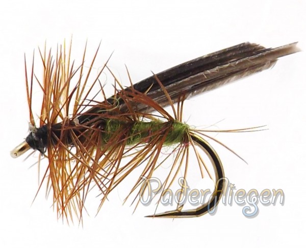 Sedge Olive