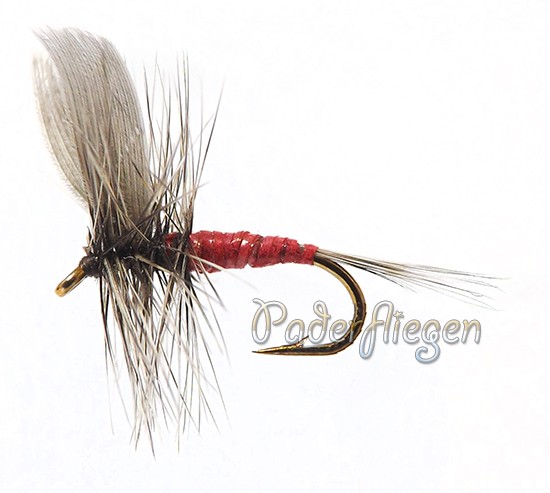 Dry Hackle Red Female