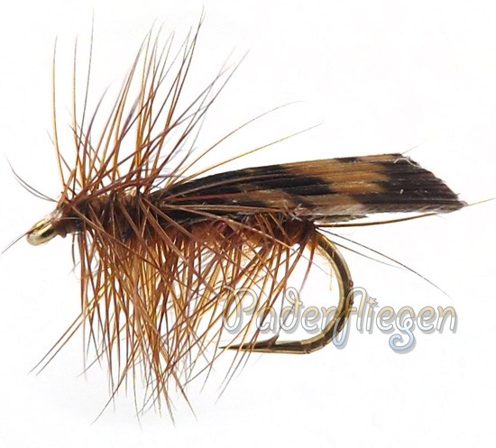 Sedge Brown