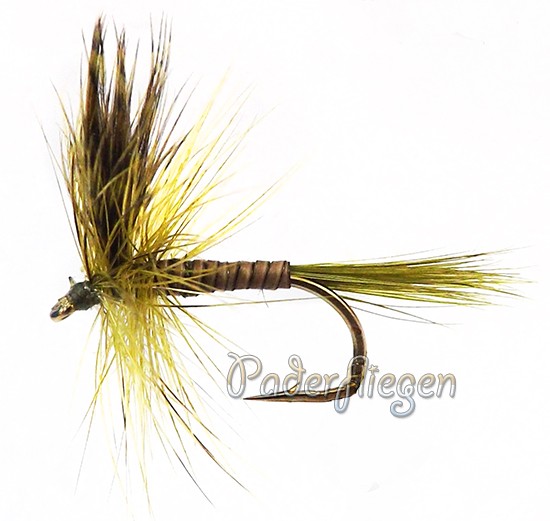 Olive Wing Quill