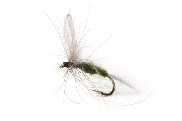 CDC Blue Wing Olive