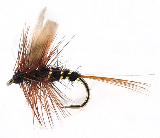 March Brown Hackles