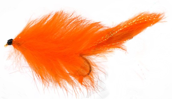 Bunny Leech Orange