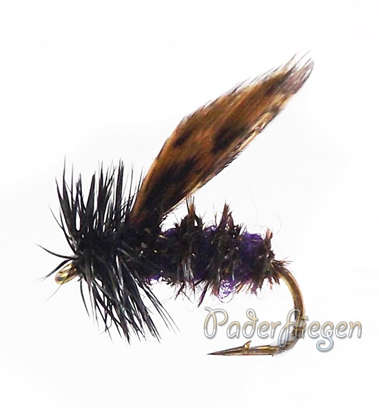 Alder