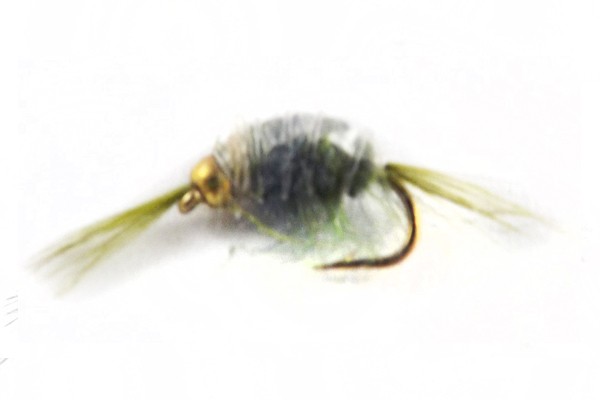 Scud-Olive BH