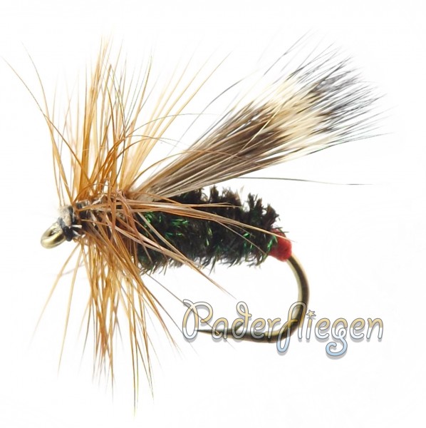 Peacock Sedge